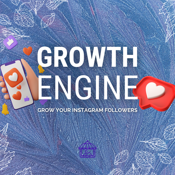 BLACK FRIDAY DEAL | Instagram Follower Growth Engine (Audience Builder Service)