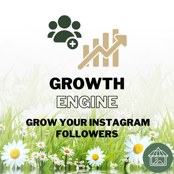 Instagram Follower Growth Engine (Audience Builder Service)